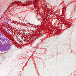 Female nude crouching